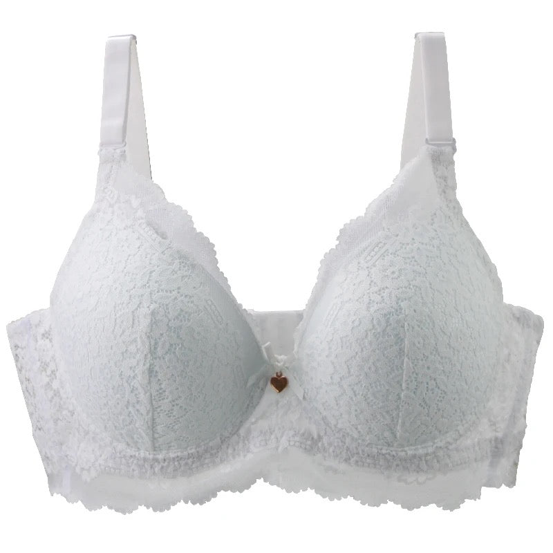 Pushup Bra D Cup Plus Size Bra - Basic