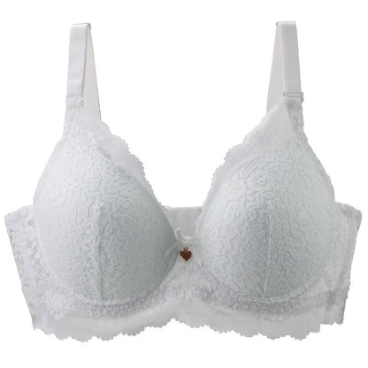 Pushup Bra D Cup Plus Size Bra - Basic